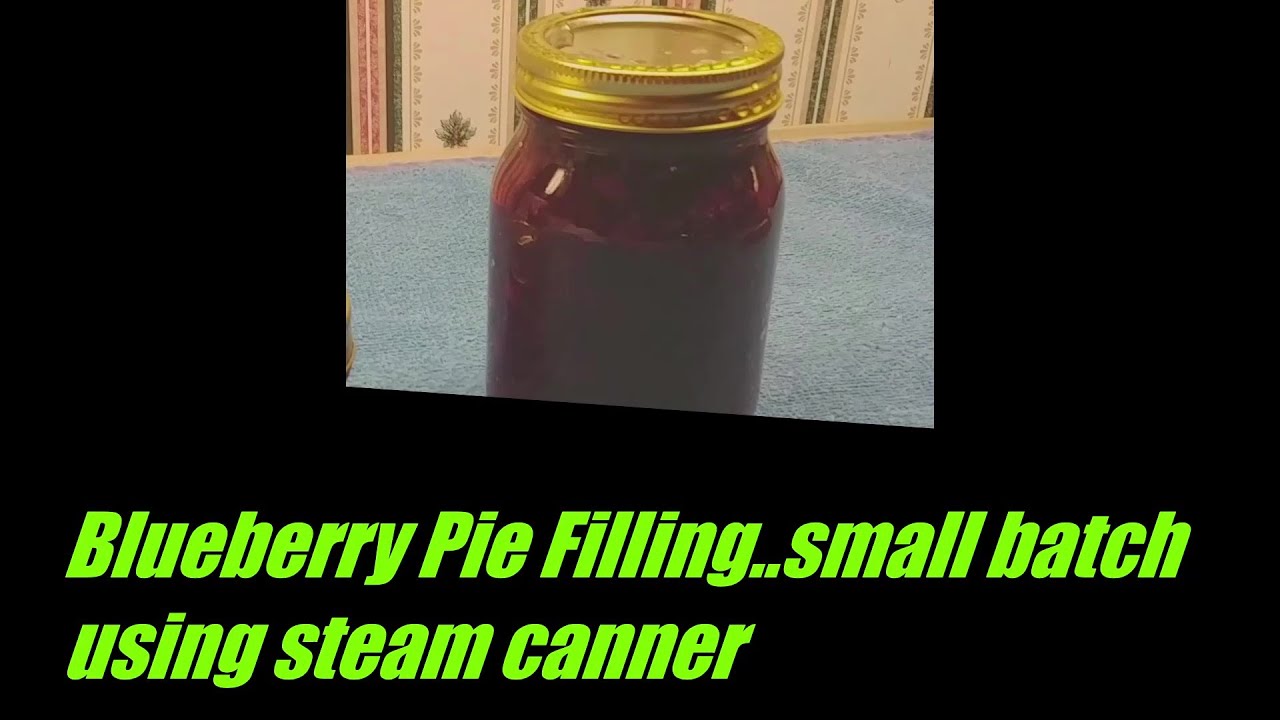 Blueberry Pie Filling  small batch using steam canner  ONLY 4 INGREDIENTS!