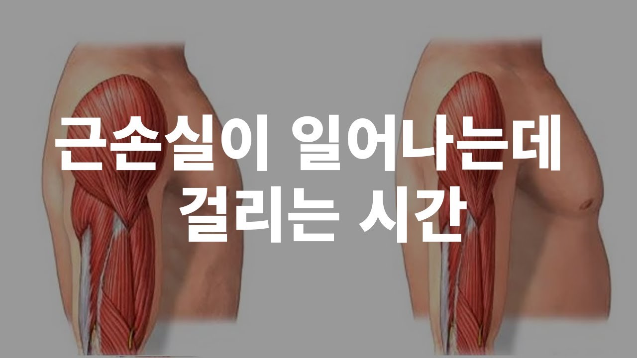 운동을 얼마나 쉬어야 근손실이 일어날까?