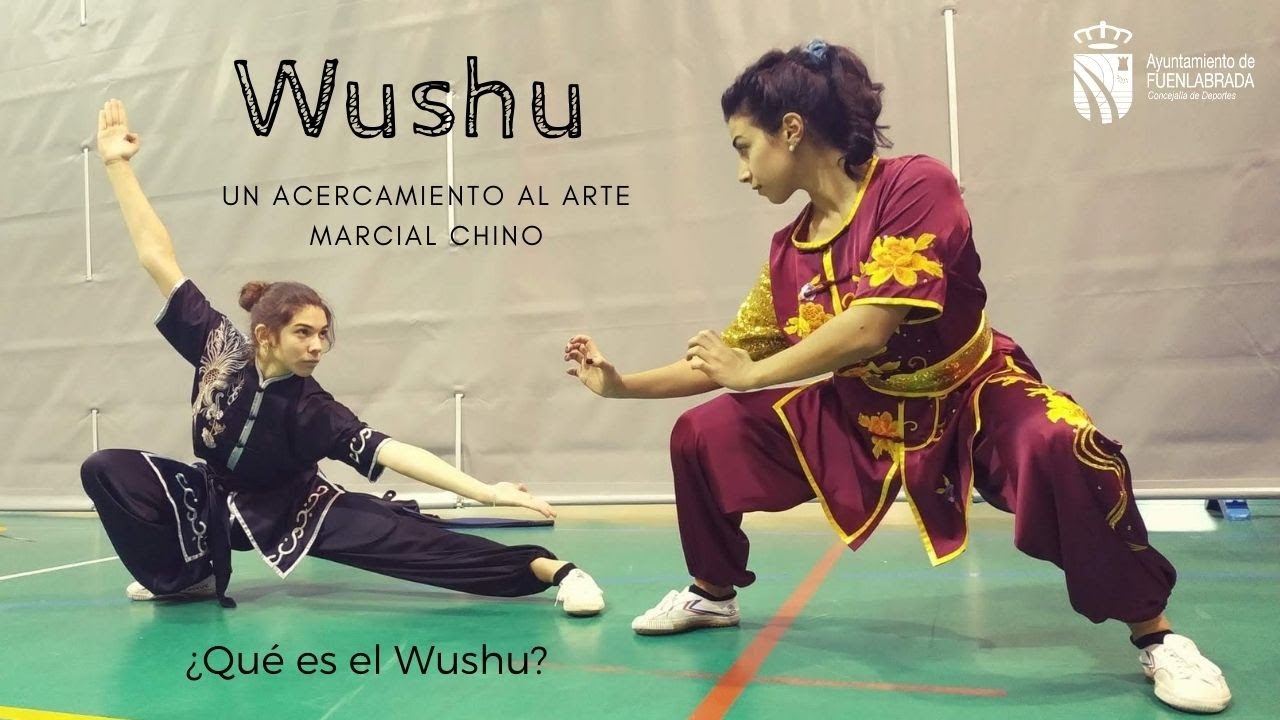 Wushu. ¿Qué es el Wushu?