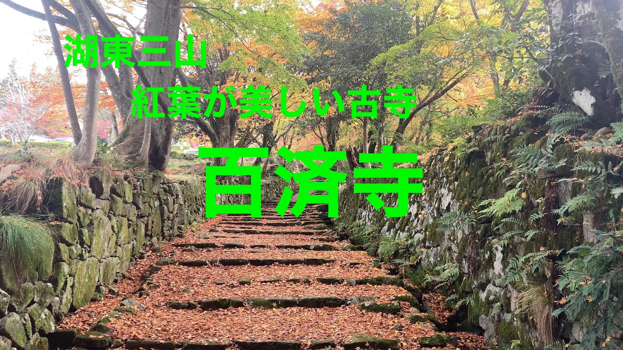 [滋賀観光]2022年秋 湖東三山 紅葉が美しい古寺 百済寺に行ってきました。