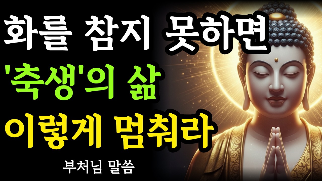 이 분노를 버리지 못하면 다음 생은 축생입니다 | 부처님의 경고
