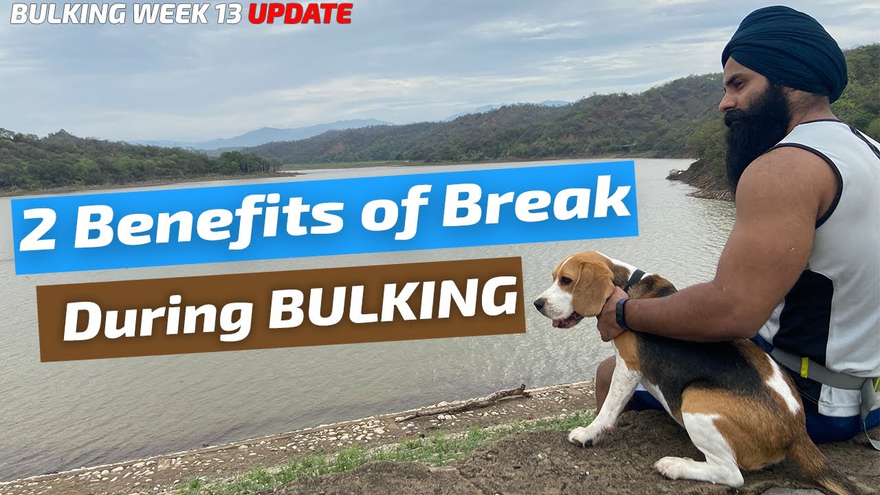 HOW TO LEAN BULK FOR LONG -THE CORRECT WAY (WEEK 13 UPDATE)