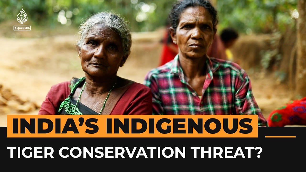 Tiger conservation programs endangering us, say India&rsquo;s Indigenous | Al Jazeera Newsfeed