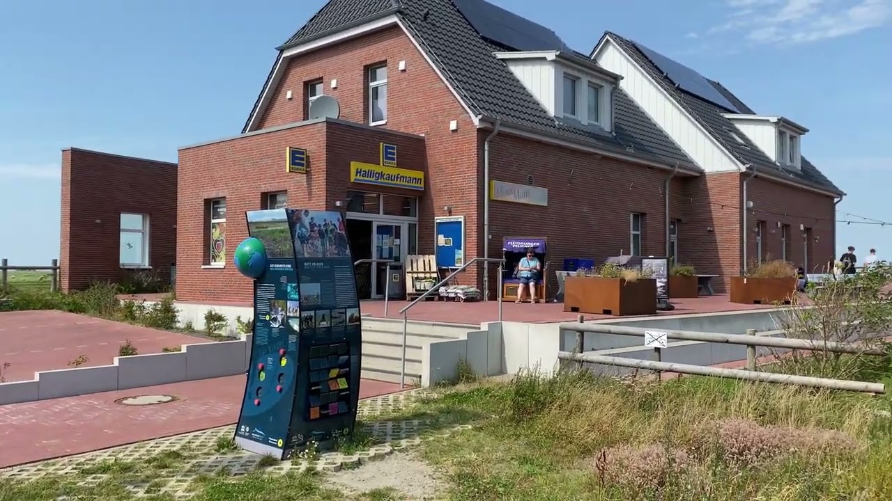 Hallig Hooge erleben (august 2024) 🇩🇪 4k walk deutschland