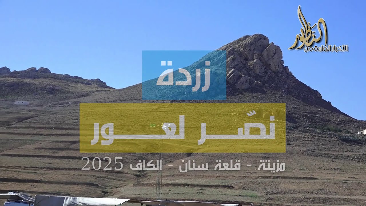 زردة 