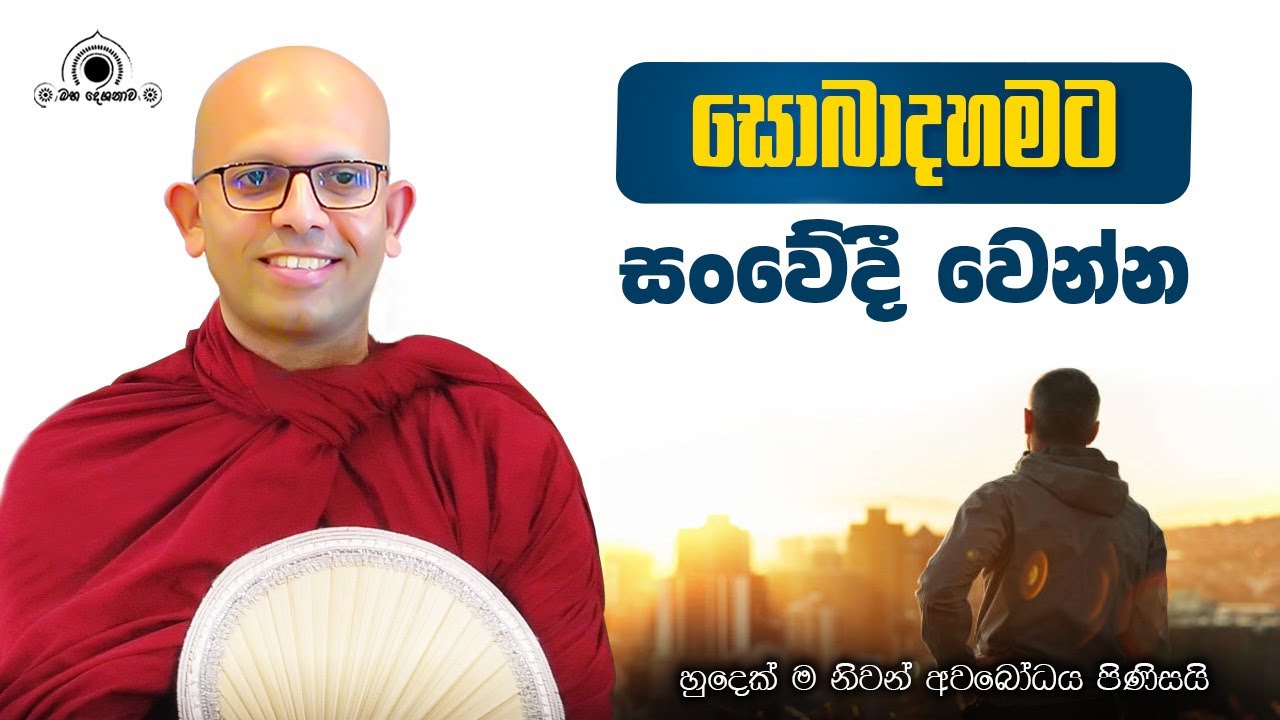 සොබාදහමට සංවේදී වන්න | හුදෙක් නිවන් අවබෝධය සඳහා පමණි
