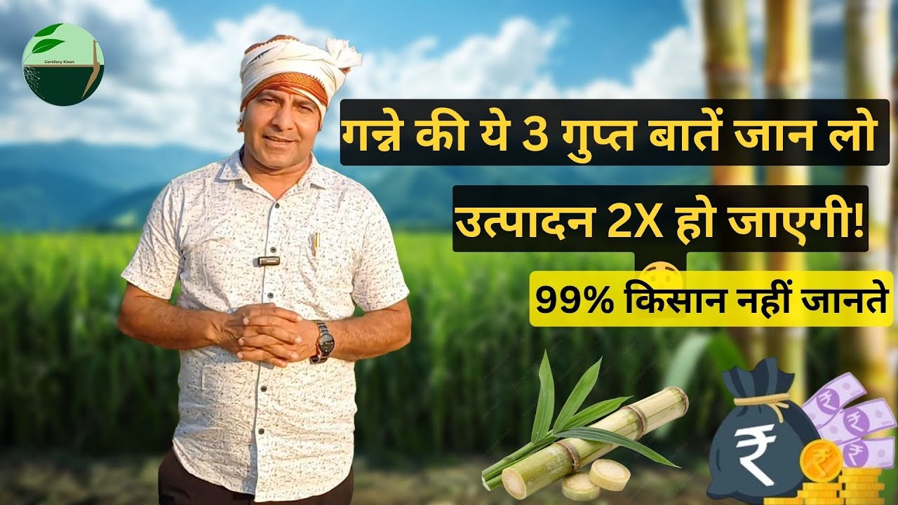 1396-Kisan Karyashala:24 गन्ना वैरायटी की एक साथ खेती करते हैं इंजीनियर + किसान भाई #Kisankaryashala