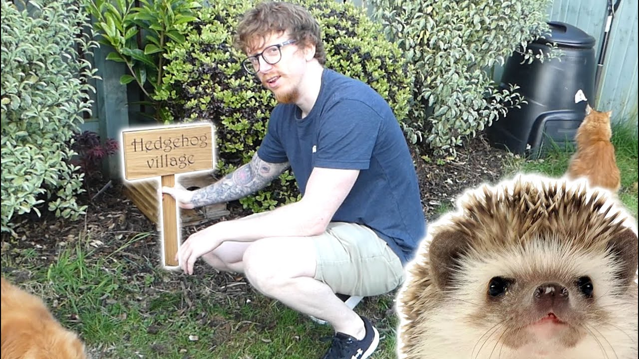 Building A Hedgehog Village (In the UK)