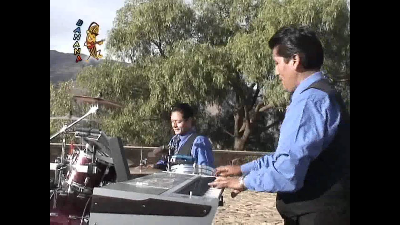 ABANDA VISION ARBOLITO ARBOLITO CUECA