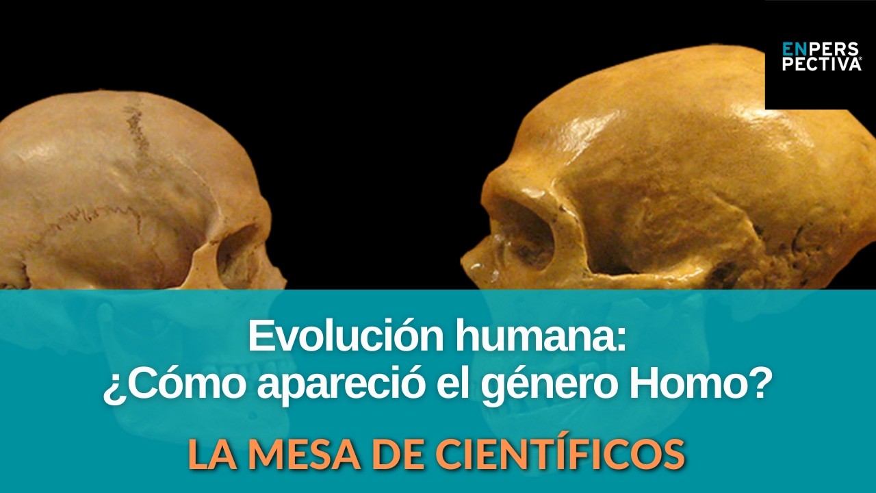 Origen del Homo Sapiens: ¿Cuál es el último ancestro común? ¿Cómo fue la expansión desde África?