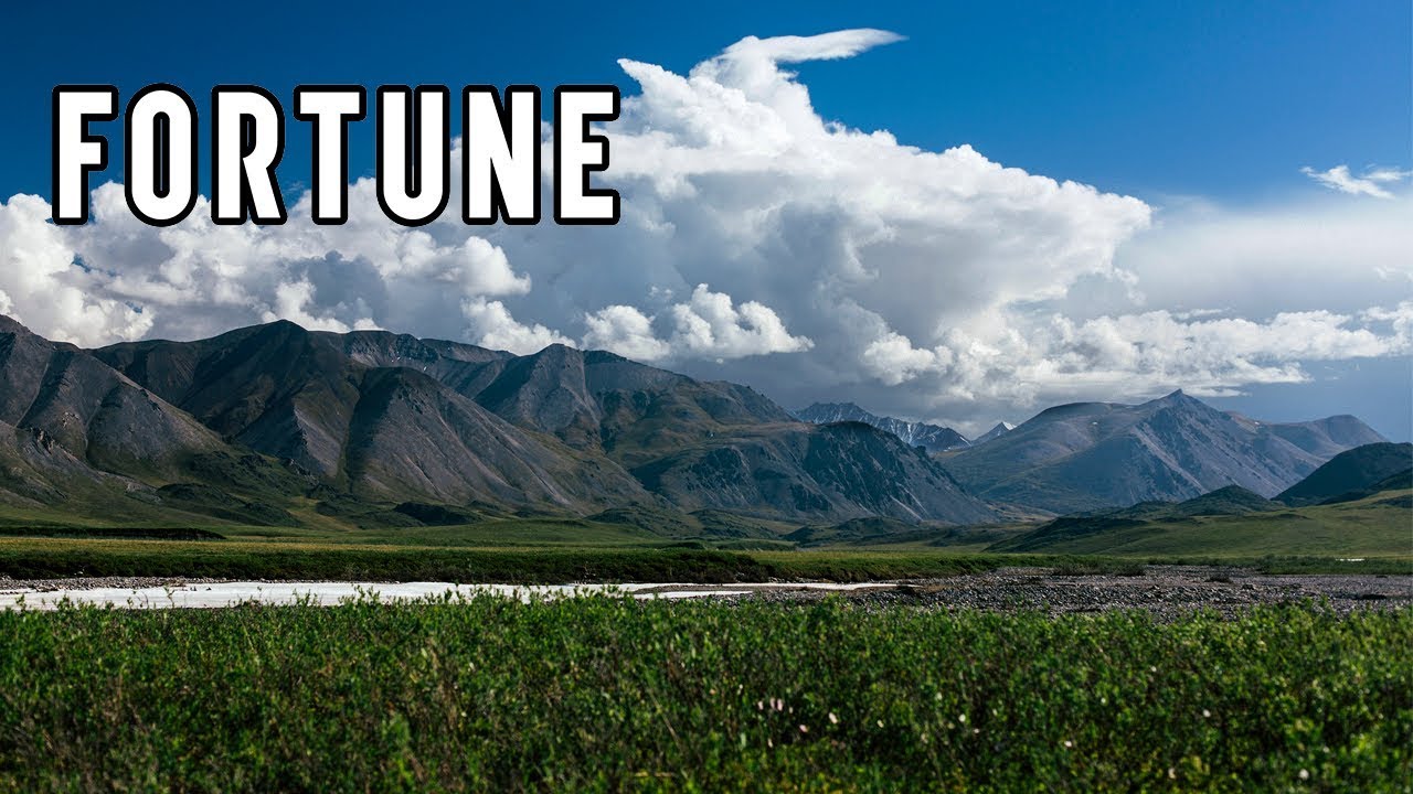 Что такое ANWR? Всё, что вам нужно знать о спорной территории Аляски (Fortune)