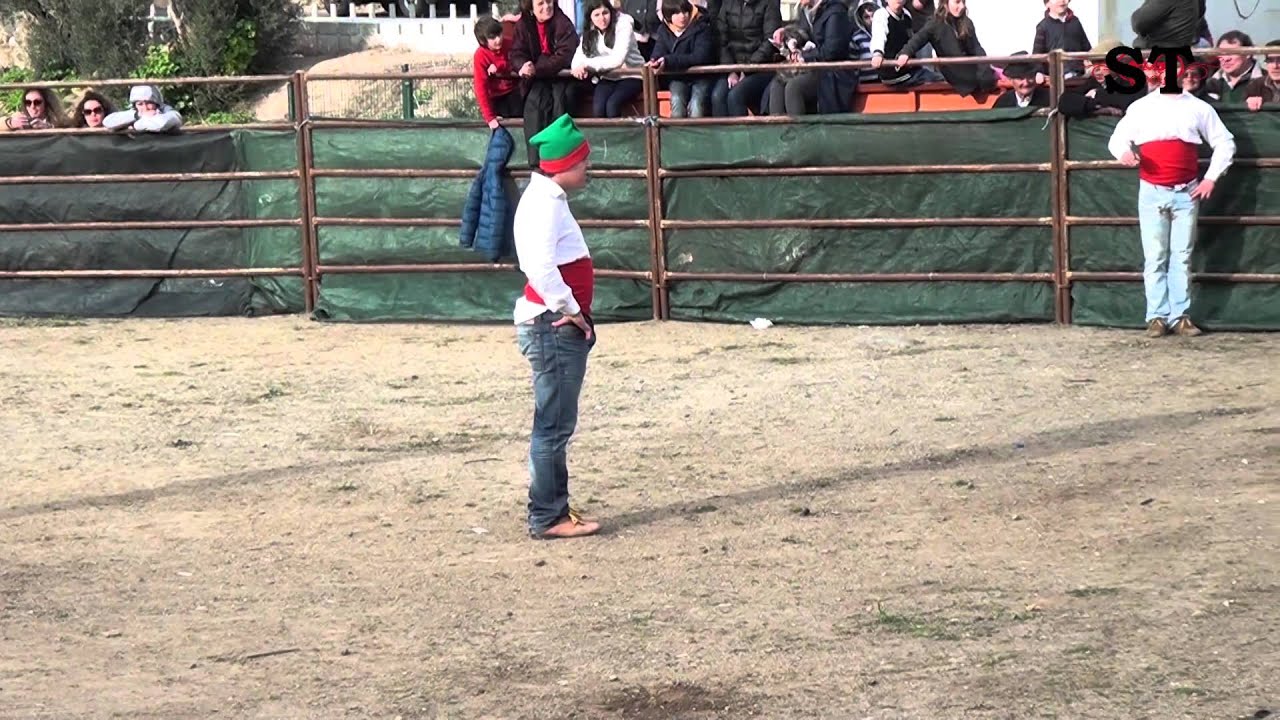Beringel recebe o seu II Fim de Semana Taurino