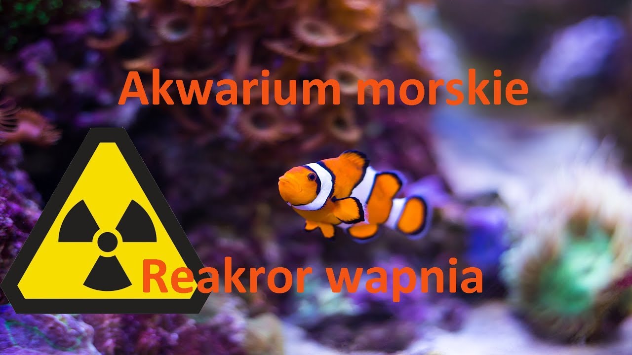 Akwarium morskie -  uruchamiamy reaktor wapnia. Tutorial