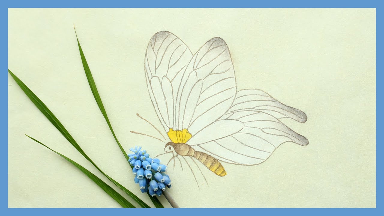 복을 불러오는 민화 채색화 | 쉽게 그려보는 남계우의 나비 | 채색과 바림 | Korean folk painting for beginners | Minhwa