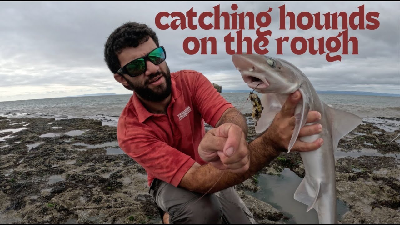 Beach fishing for Smooth Hounds at Aberthaw
