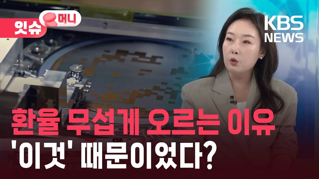 환율 무섭게 오르는 이유…‘이것' 때문이었다? [잇슈 머니] / KBS  2025.11.14.