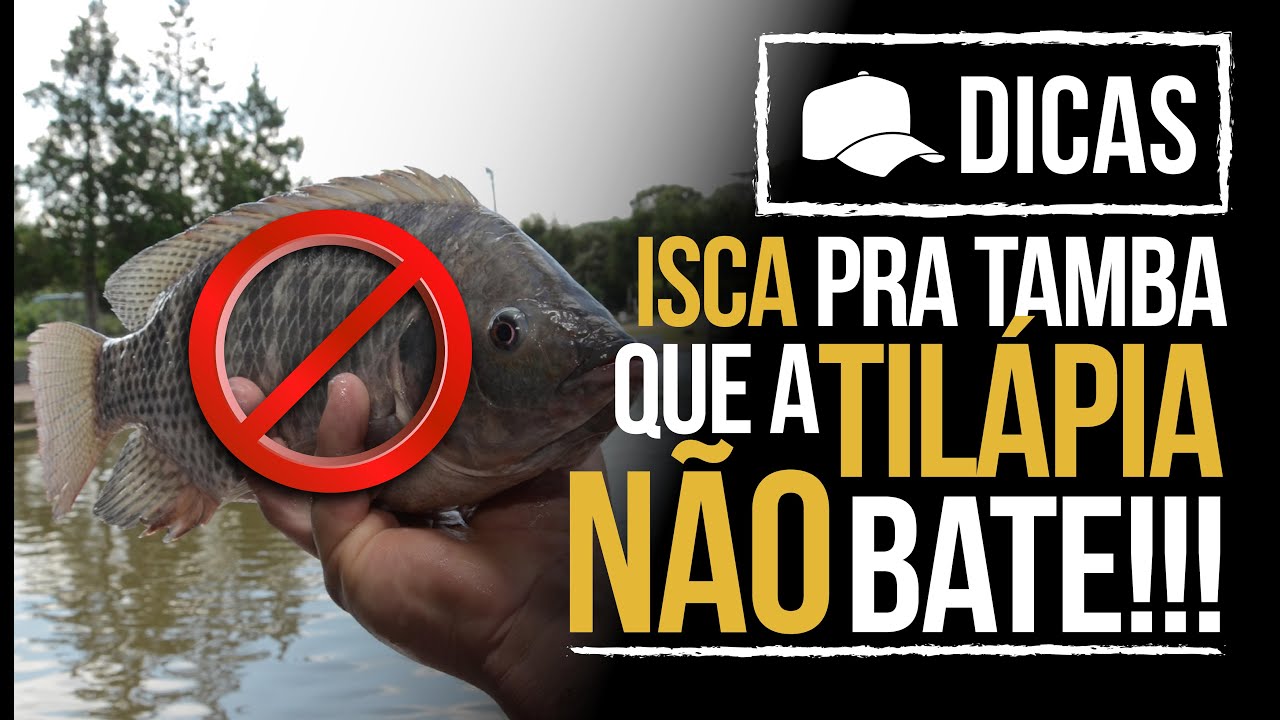 ISCAS PRA TAMBAS QUE AS TIL&Aacute;PIAS N&Atilde;O BATEM!!! (DICA)