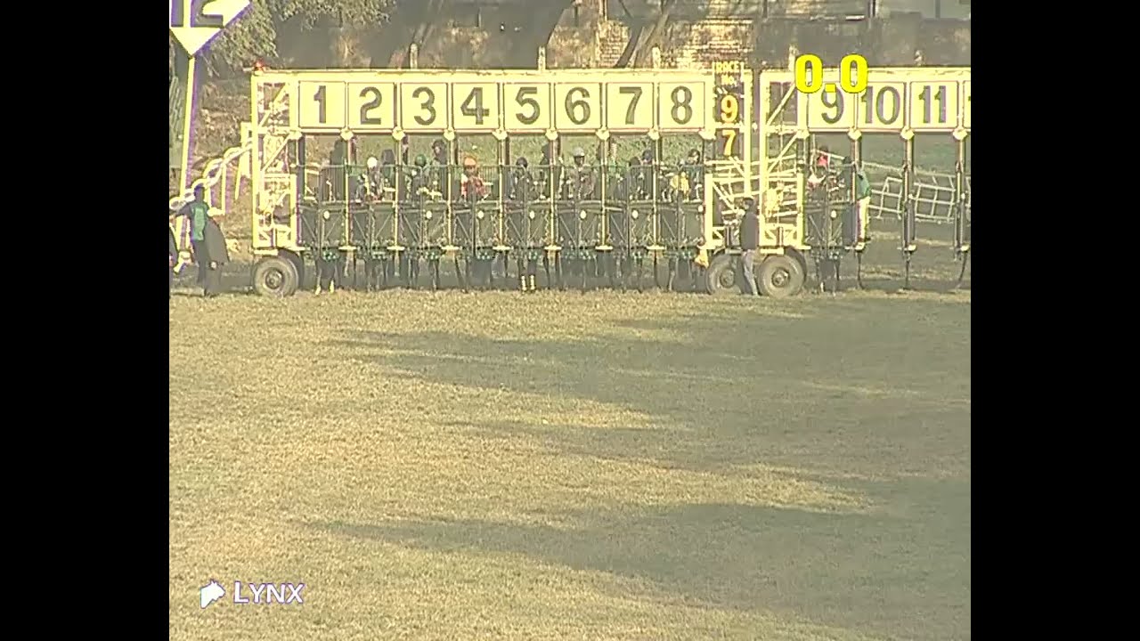 Delhi Race No 5 The Hyderabad Race Club Cup / win - ELIMINATOR/ Jockey - Arjun / #horseracing 2026