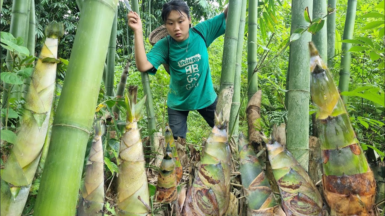 boy,and girl harvesting bamboo shoots tor sale l Forest life,herd pigs,cook pork bran,cut grass pig