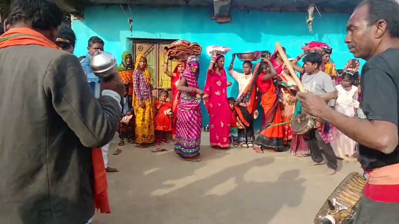 आदिवासी इलाके का महकता हुआ कुडंबा ##दर्दनाक खतरनाक स्टैंड।।