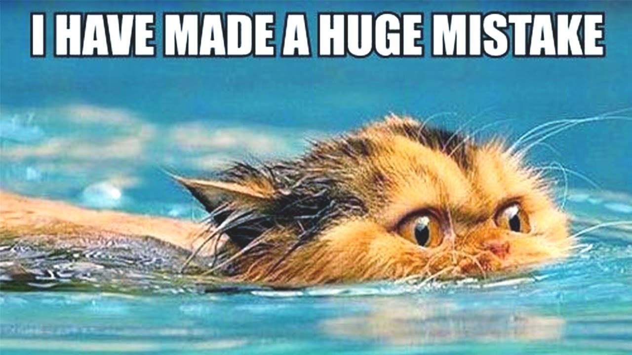 Your Swimming Questions ANSWERED