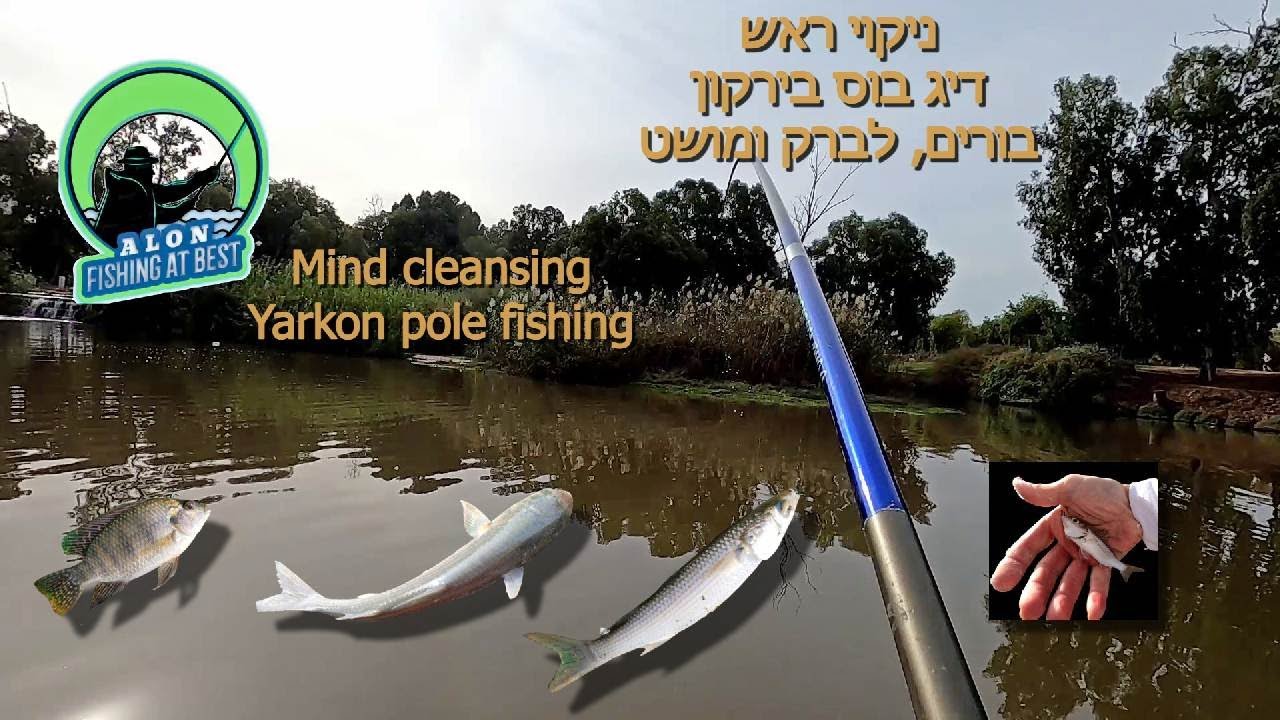 Mind cleansing - Yarkon river Pole fishing  - Mullet, Seabass and Tilapia - EN | HE subs