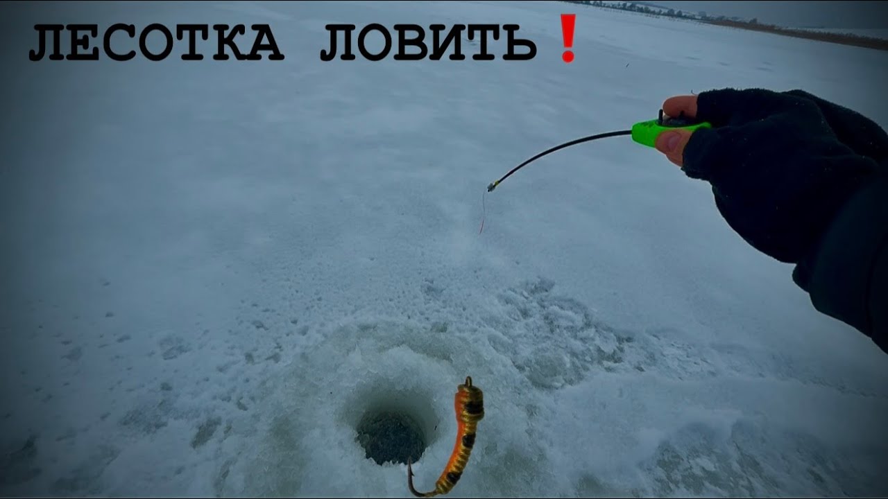 БЕЗМОТИЛКА ЛОВИТ ОКУНЯ И ПЛОТВУ|РЫБАЛКА ИЗ КРЕДЫ 2026
