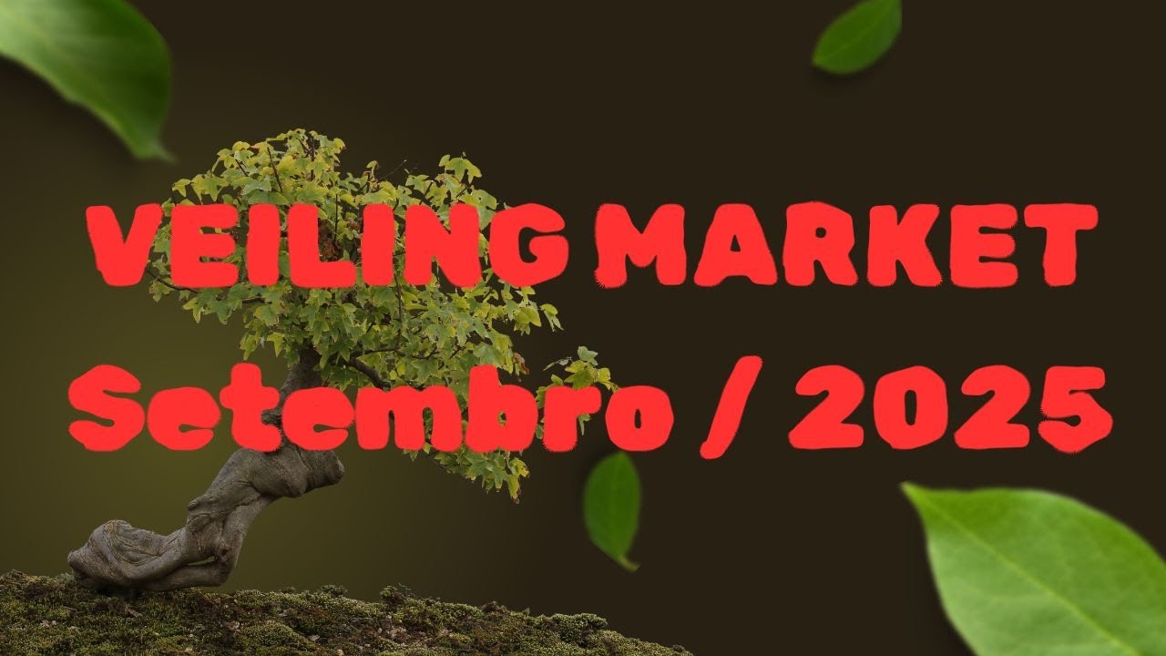 30º VEILING MARKET 2025
