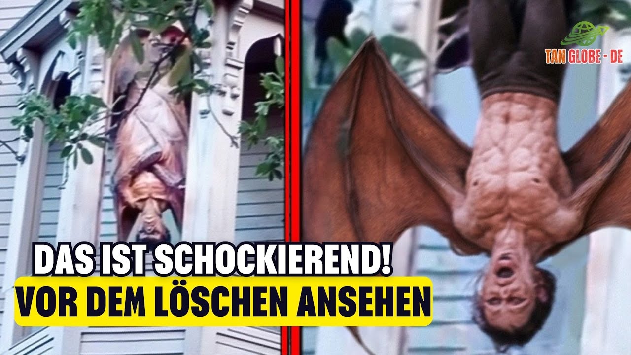Kalifornien-Video: Polizei Kann Es Nicht Erkl&auml;ren &ndash; Bizarrste Begegnung Auf Kamera | Dokumentation