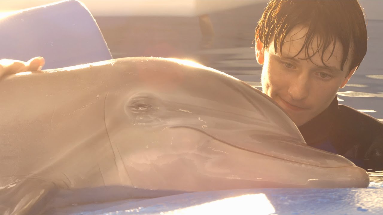 Dolphin Tale 2 - 