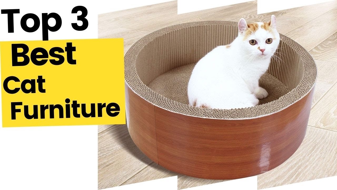 Best Cat Furniture On Amazon in 2023