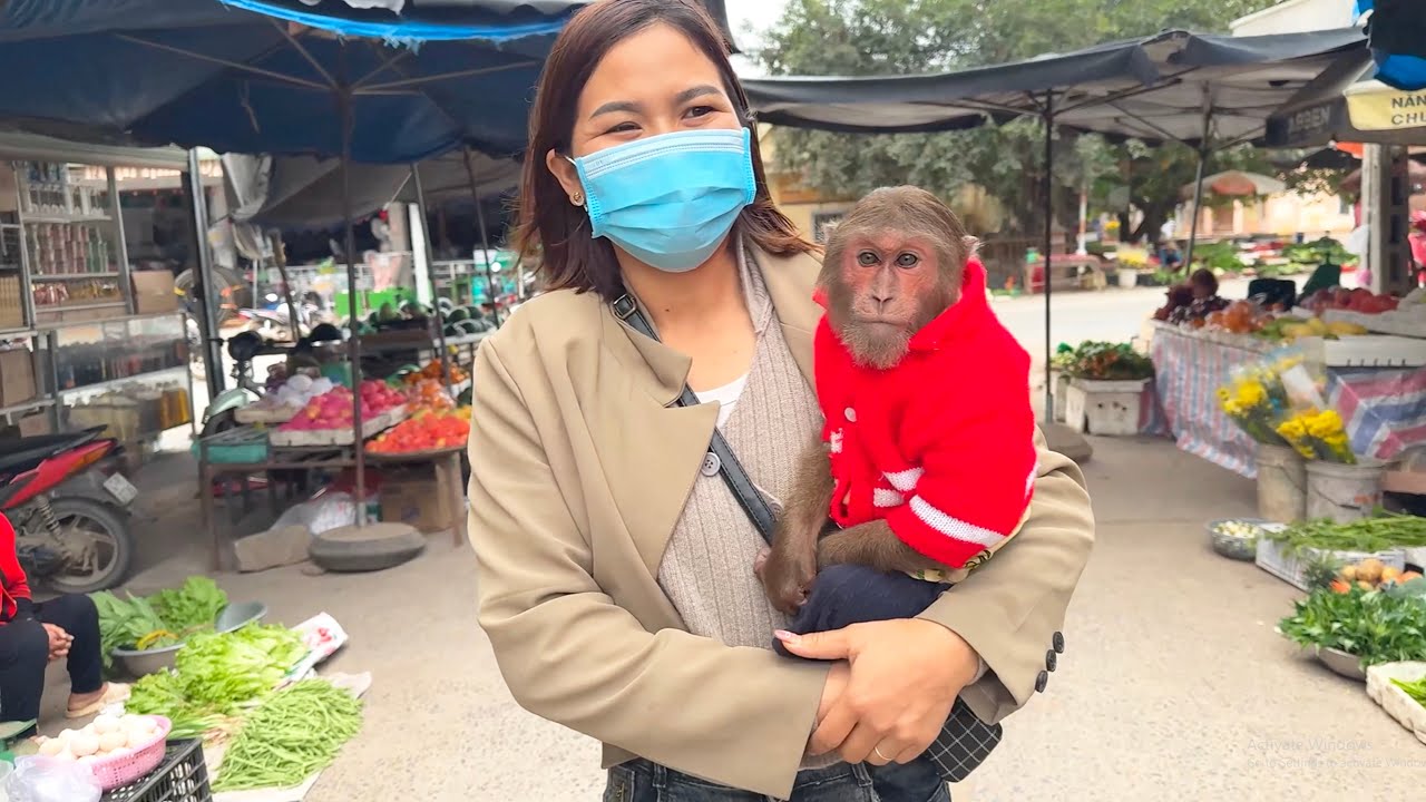 Must Watch! CUTIS’ Excited Market Adventure with Mom Is Too Funny