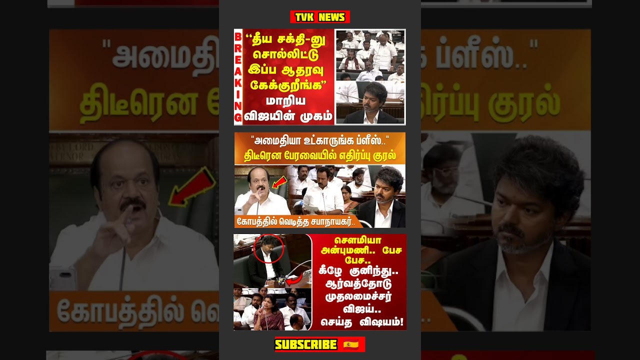 TVK Thalapathy Vijay Anna || #tvk#dmk#admk#congress#bjp#breakingnews#thalapathy#vijay#news
