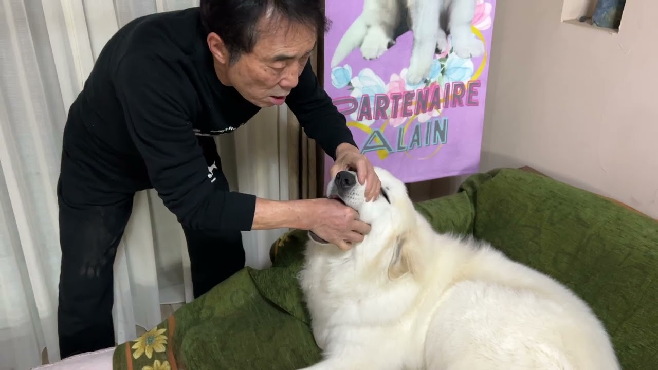 【ルンルンの裏庭】流れる手つきで薬を飲ませるお父さん