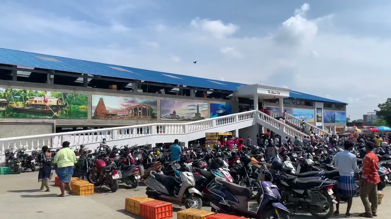 New - The Chennai Fish Market | Vanagaram Fish market | Chennai | Cheap price|
