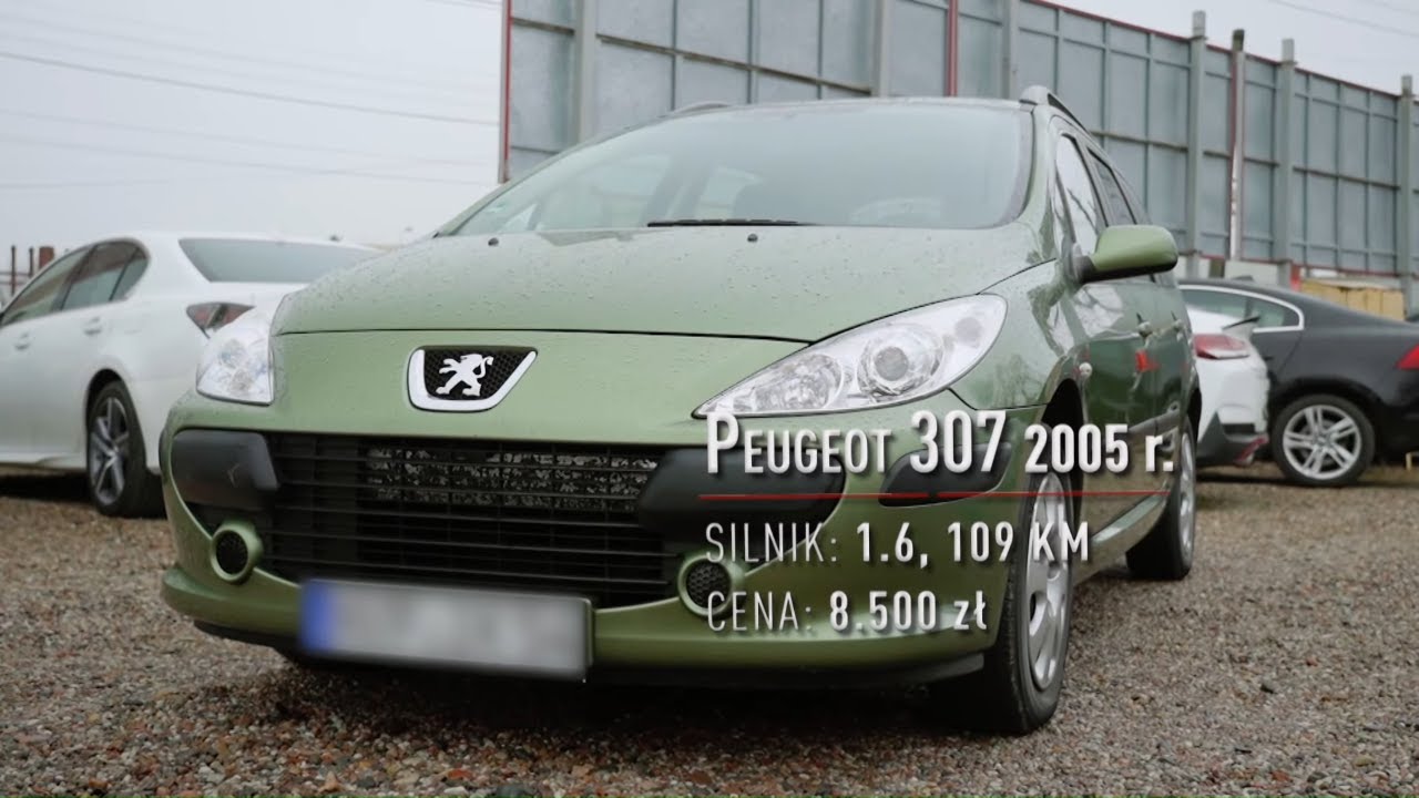 Tanie francuskie kombi, które dzielnie znosi próbę czasu! #Zakup_Kontrolowany