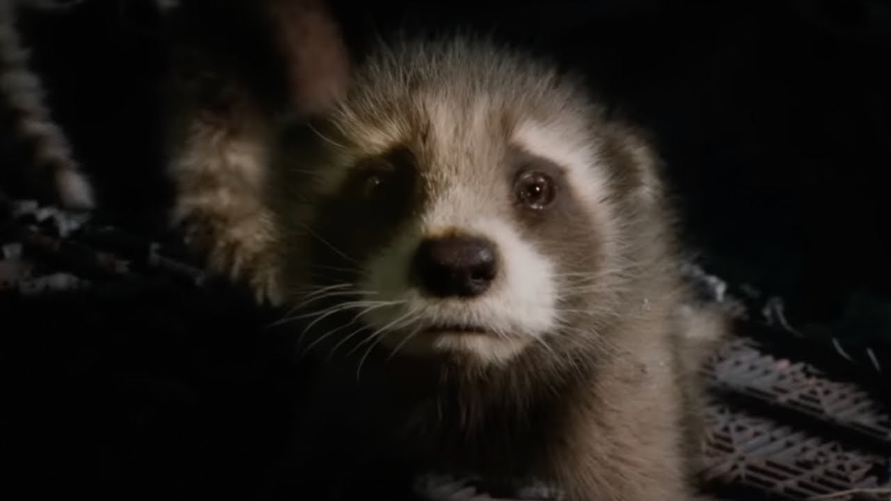 Guardians of the galaxy vol 3 &ldquo;Creep&rdquo; Opening scene