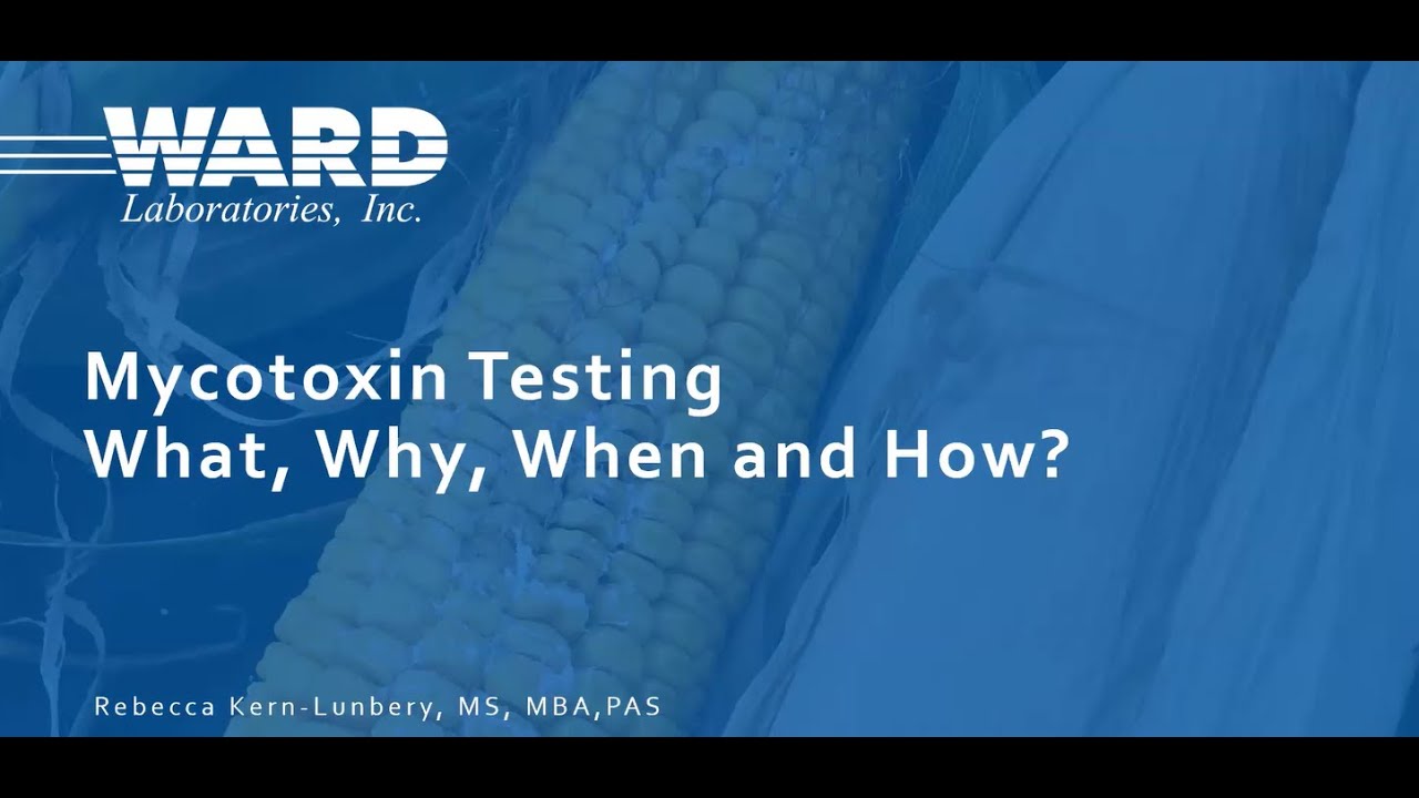 Mycotoxin Testing: Why, Why, When and How?