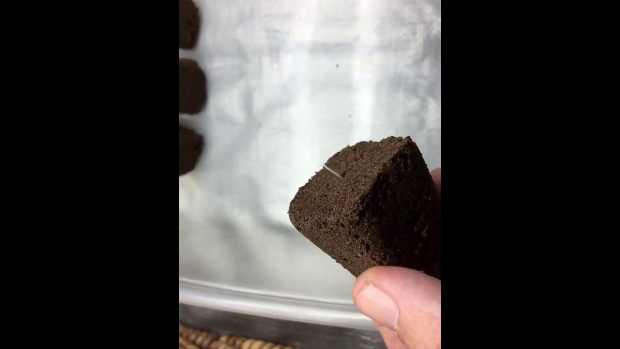 ROOT RIOT cubes for SEEDS