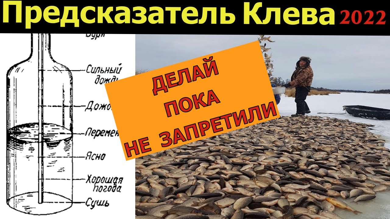 Супер Предсказатель Клева. НОВАЯ модель 😱 1000 раз точнее КЛЁВ. Лайфхак для рыбалки.