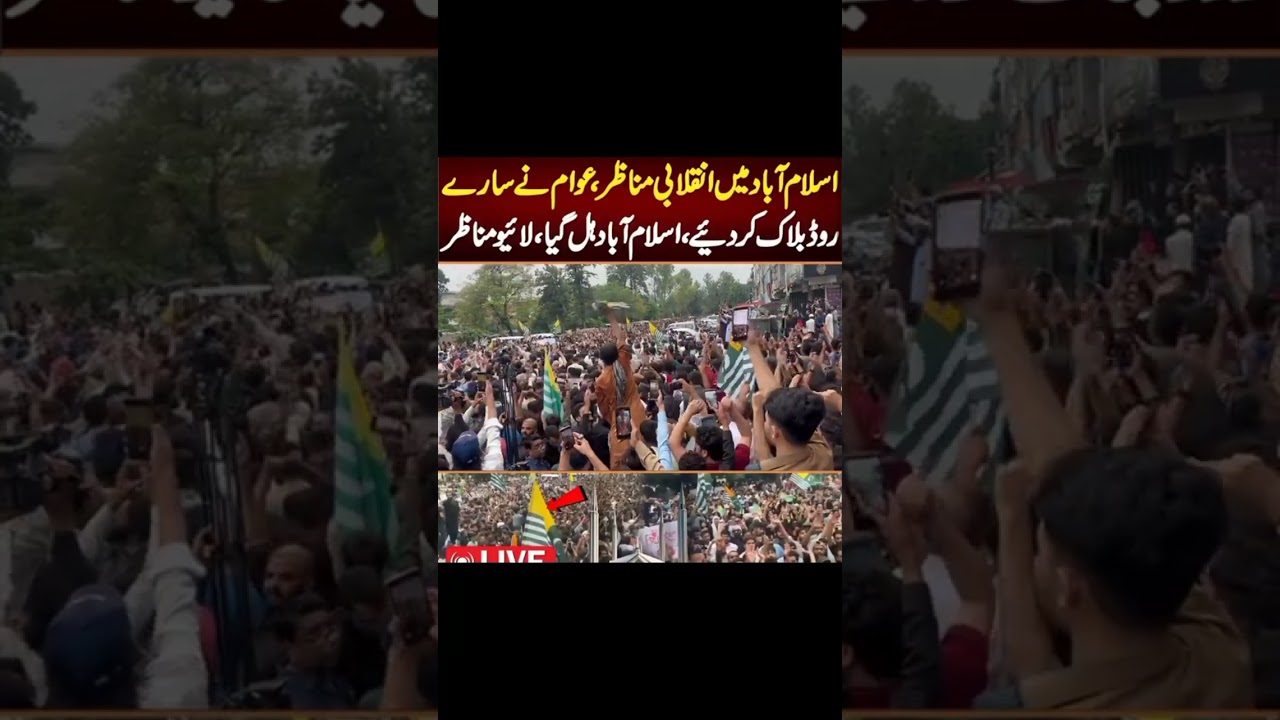 Powerful Protest Moments in Islamabad #shorts #shortsfeeds #kashmir