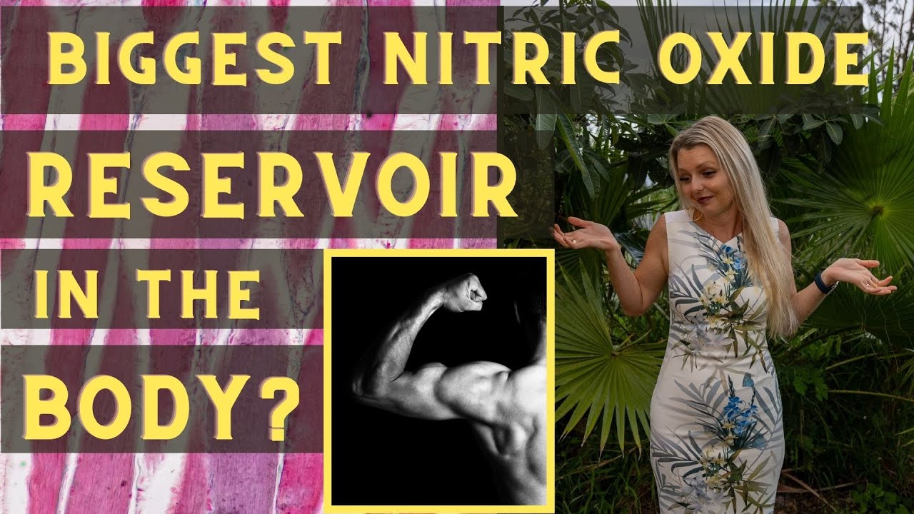 The Biggest Nitric Oxide Reservoir in the Body?
