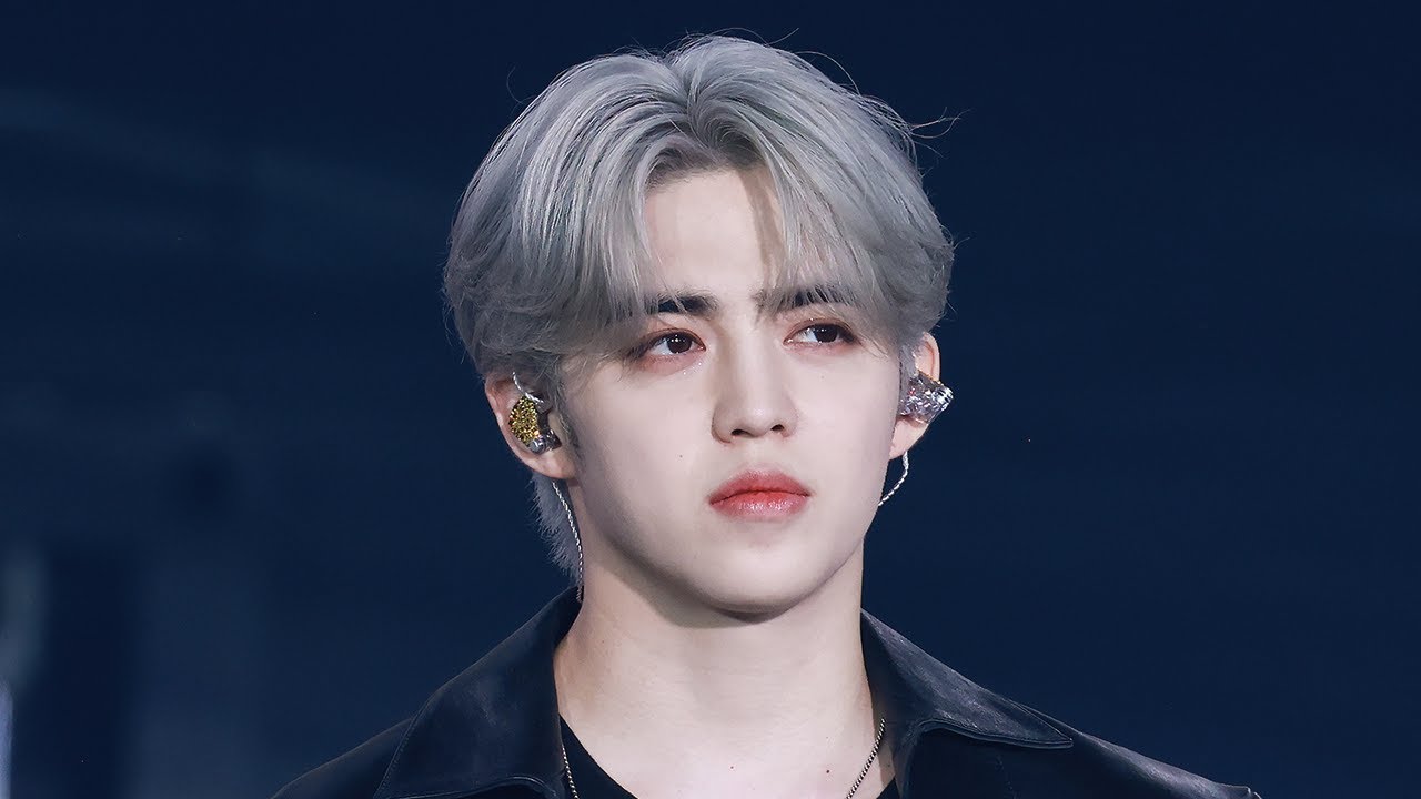 250510 SEVENTEEN 2025 JAPAN FM 'HOLIDAY' IN SAITAMA 'CALL CALL CALL' 세븐틴 에스쿱스 최승철 직캠 S.COUPS focus