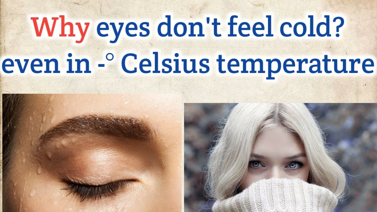 Eyes never feel cold whyy?? Science or reason behind it. Full detail! Must watch.