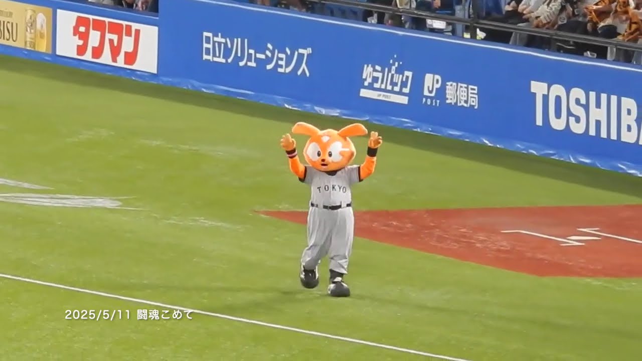 【TOKYOシリーズ2025】5/11：ジャビット／闘魂こめて
