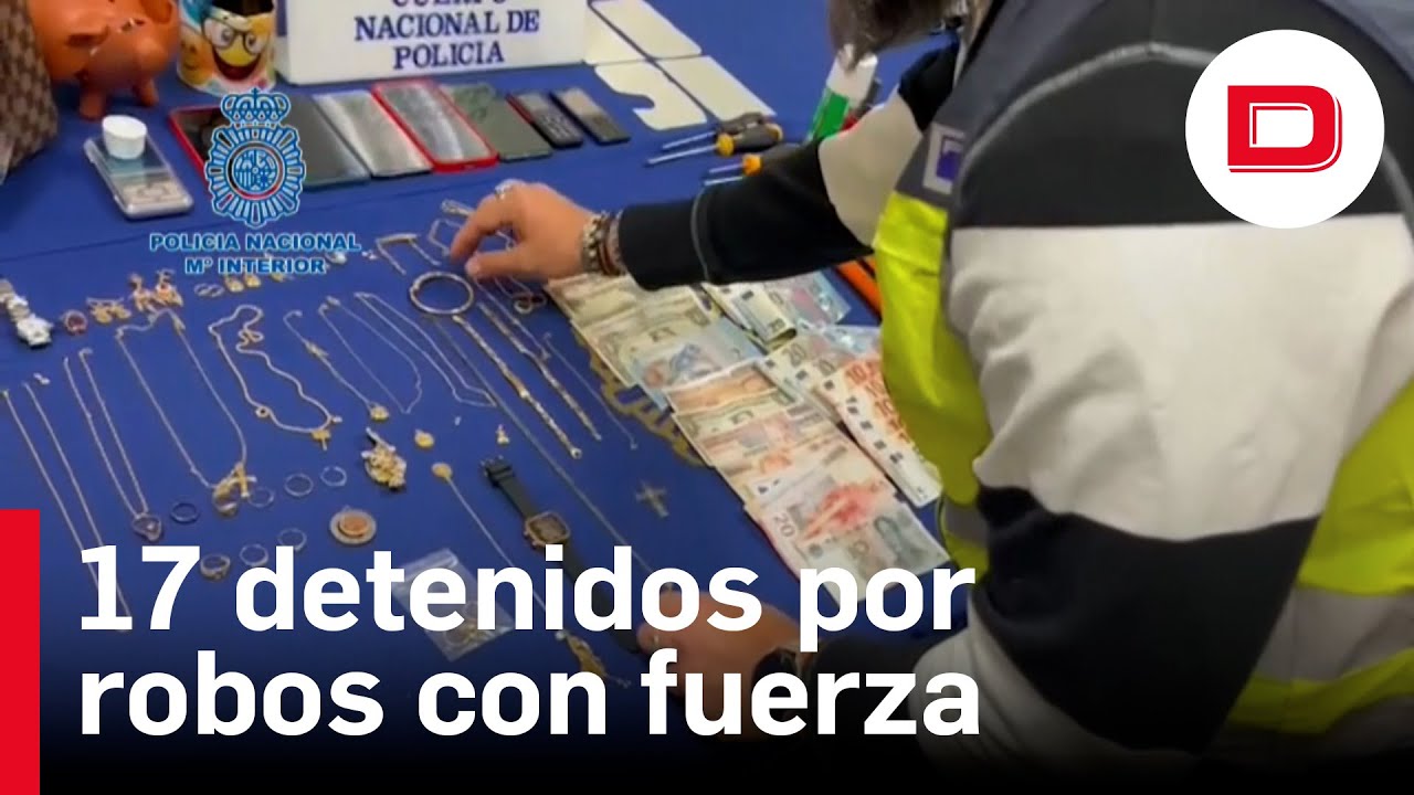 17 detenidos por robos con fuerza en domicilios de Alicante