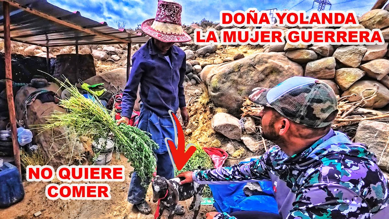 REGRESAMOS donde Doña Yolanda la MUJER GUERRERA y nos dimos con la SORPRESA que la MORENITA esta MAL