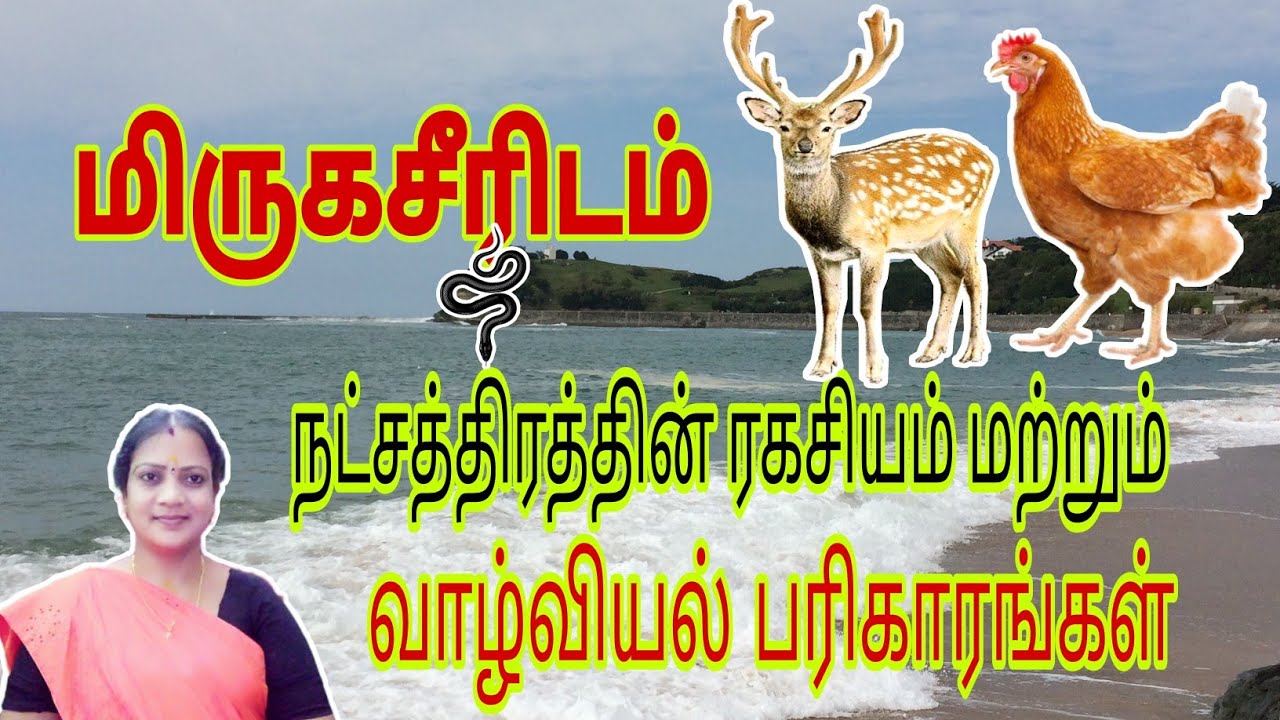 Mrigaseerisham nakshatra || மிருகசீரிடம் நட்சத்திரத்தின்  ரகசியங்கள் ,எளிய வாழ்வியல் பரிகாரங்கள் ||