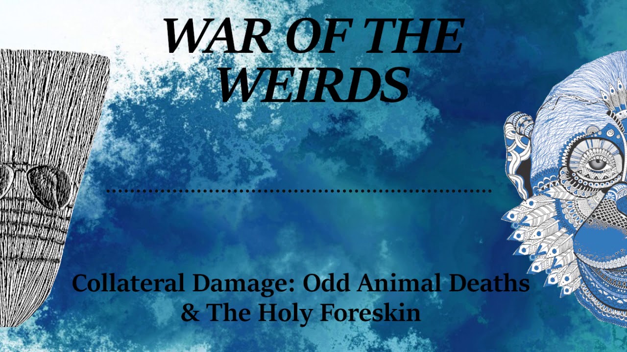 Collateral Damage: Odd Animal Deaths & The Holy Foreskin