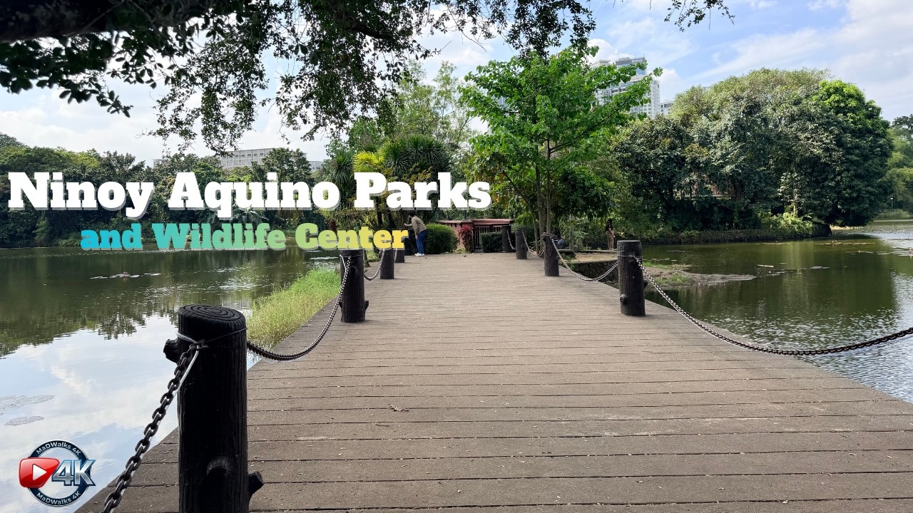 Ninoy Aquino Parks & Wildlife Center in 4K | Quezon City’s Urban Nature Sanctuary